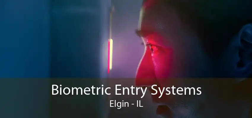 Biometric Entry Systems Elgin - IL