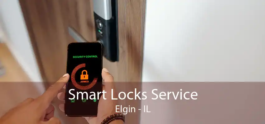 Smart Locks Service Elgin - IL